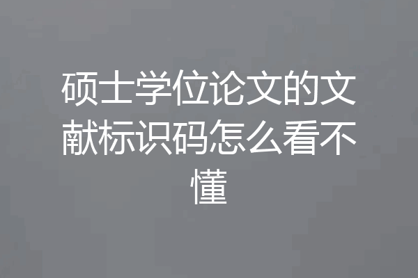 硕士学位论文的文献标识码怎么看不懂