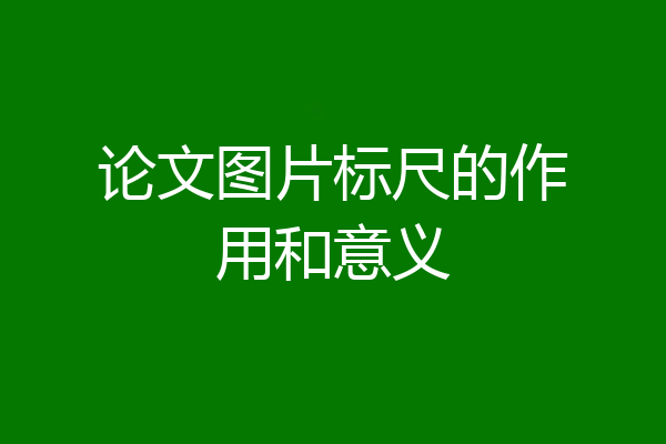 论文图片标尺的作用和意义