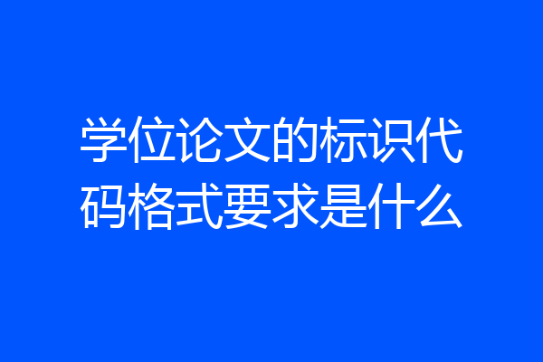 学位论文的标识代码格式要求是什么