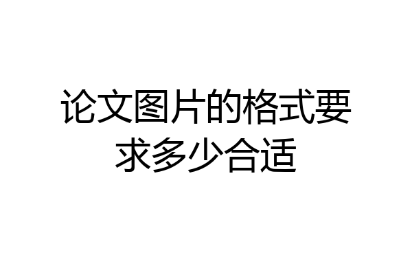 论文图片的格式要求多少合适