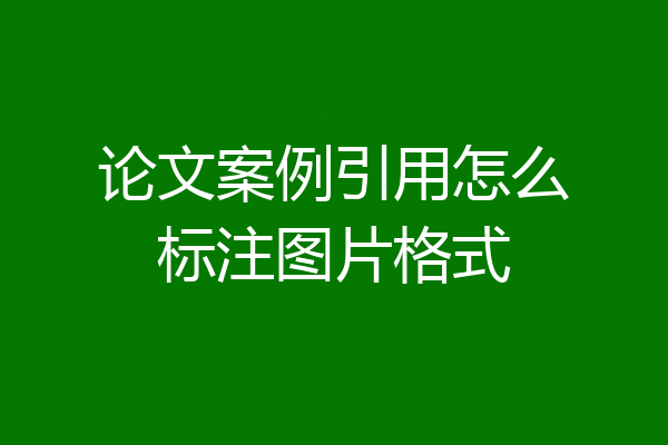 论文案例引用怎么标注图片格式