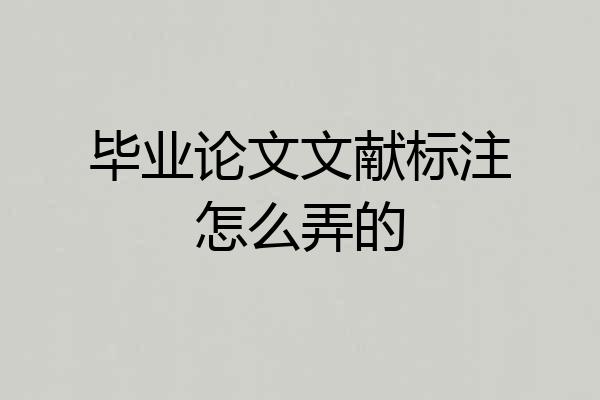 毕业论文文献标注怎么弄的