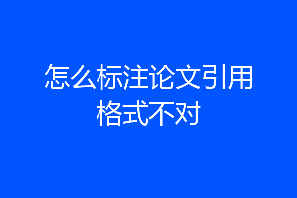 怎么标注论文引用格式不对