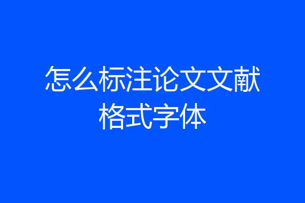 怎么标注论文文献格式字体
