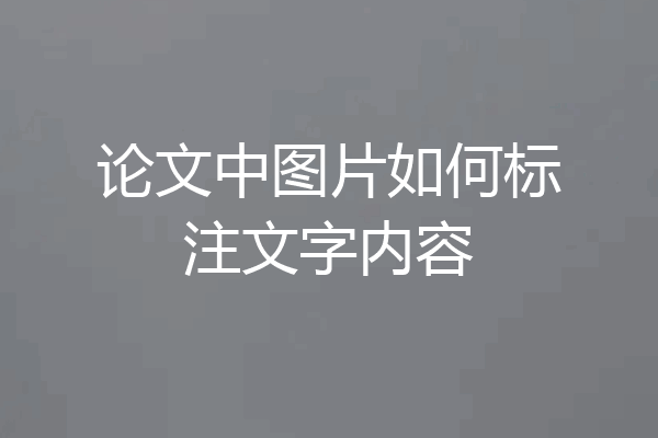 论文中图片如何标注文字内容