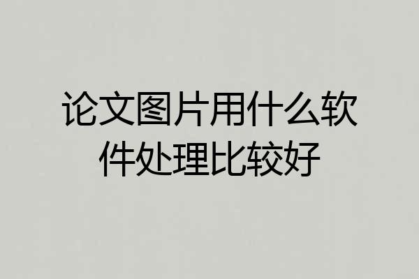 论文图片用什么软件处理比较好