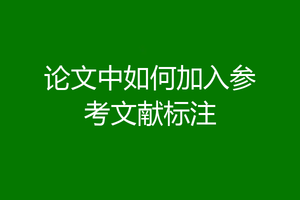 论文中如何加入参考文献标注