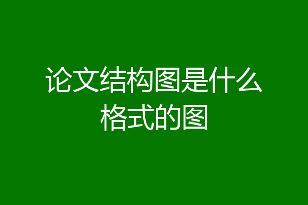 论文结构图是什么格式的图