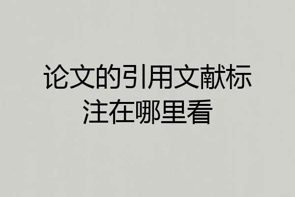 论文的引用文献标注在哪里看
