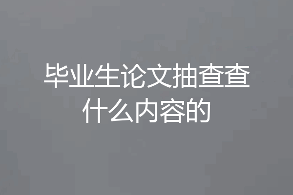 毕业生论文抽查查什么内容的