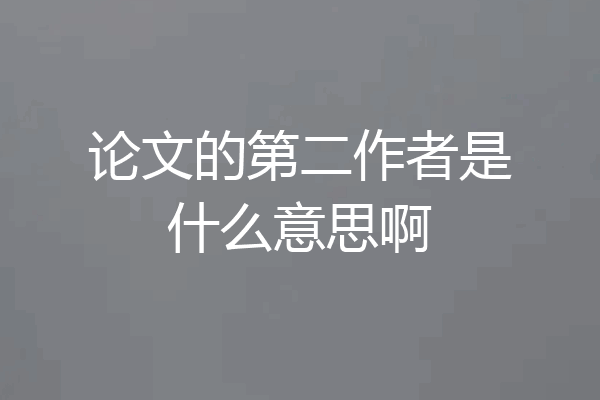 论文的第二作者是什么意思啊