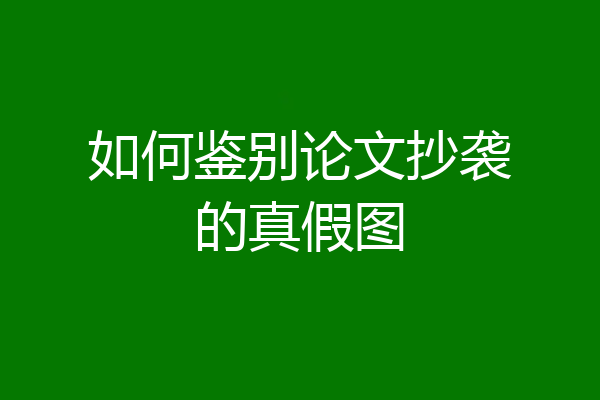 如何鉴别论文抄袭的真假图