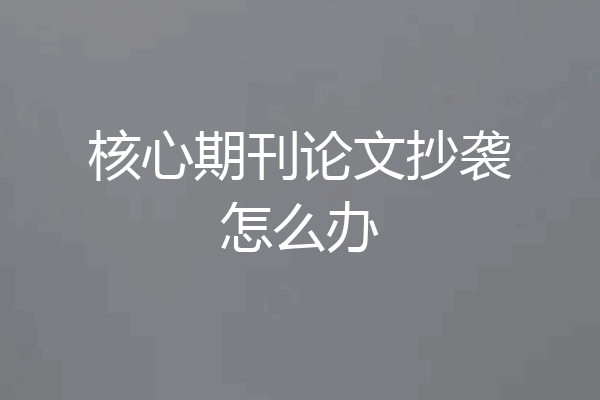 核心期刊论文抄袭怎么办