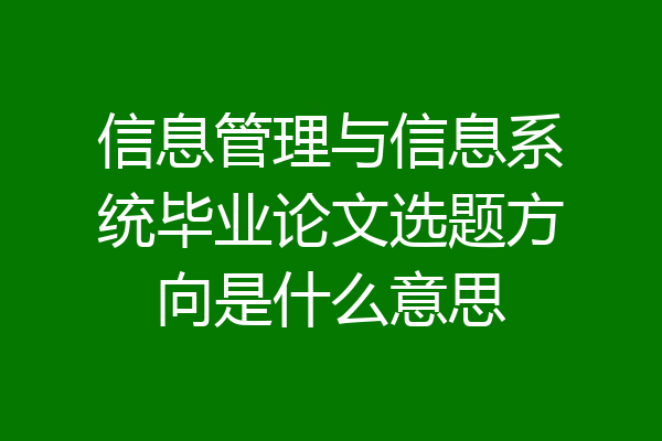信息管理与信息系统毕业论文选题方向是什么意思