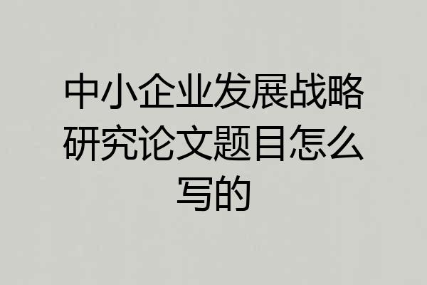 中小企业发展战略研究论文题目怎么写的