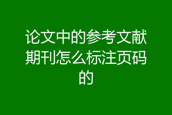 论文中的参考文献期刊怎么标注页码的