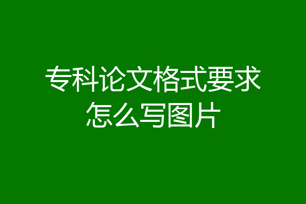 专科论文格式要求怎么写图片