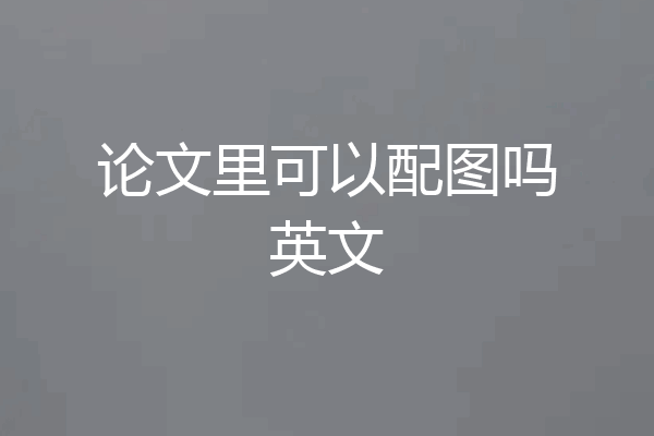 论文里可以配图吗英文