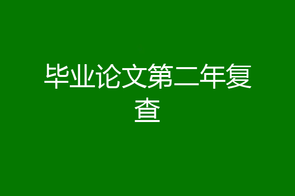 毕业论文第二年复查