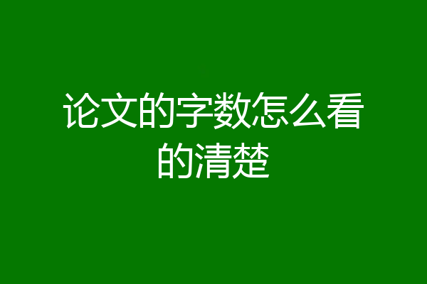 论文的字数怎么看的清楚