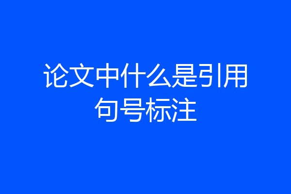 论文中什么是引用句号标注