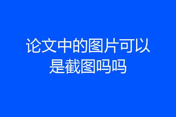 论文中的图片可以是截图吗吗