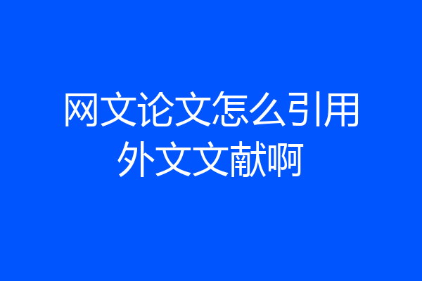 网文论文怎么引用外文文献啊