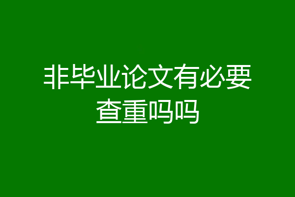 非毕业论文有必要查重吗吗