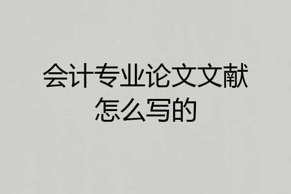 会计专业论文文献怎么写的
