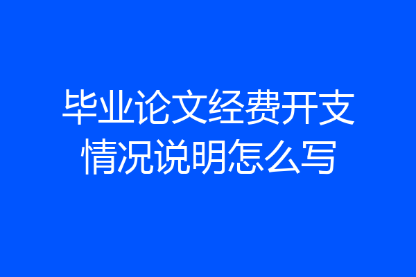 毕业论文经费开支情况说明怎么写