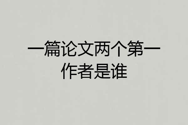 一篇论文两个第一作者是谁