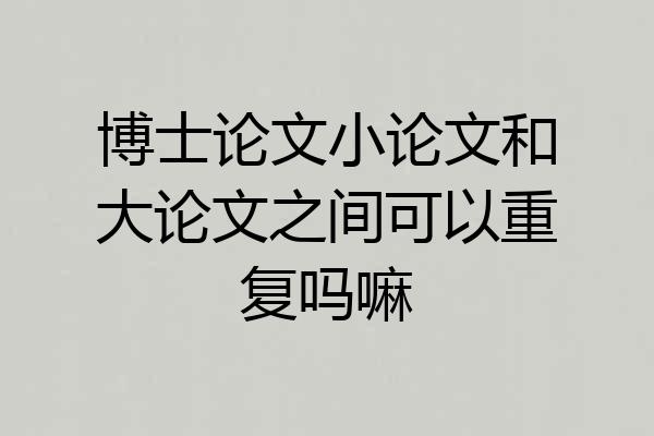 博士论文小论文和大论文之间可以重复吗嘛