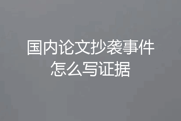 国内论文抄袭事件怎么写证据