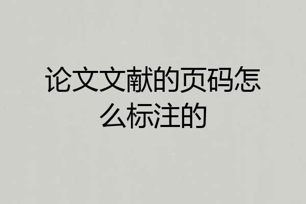 论文文献的页码怎么标注的