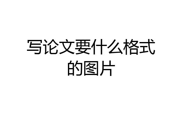 写论文要什么格式的图片