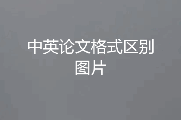中英论文格式区别图片