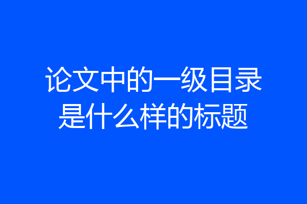 论文中的一级目录是什么样的标题