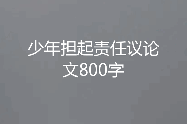 少年担起责任议论文800字