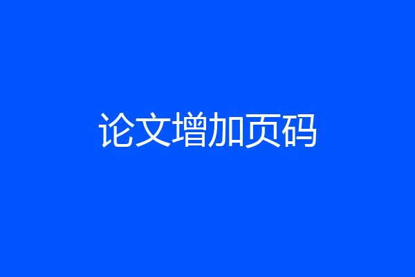 论文增加页码