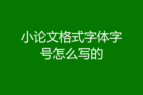 小论文格式字体字号怎么写的