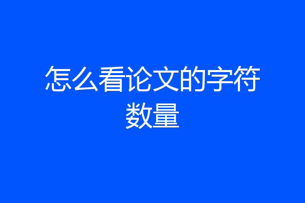怎么看论文的字符数量