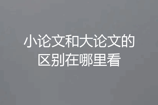 小论文和大论文的区别在哪里看