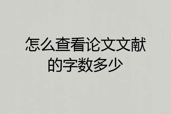 怎么查看论文文献的字数多少