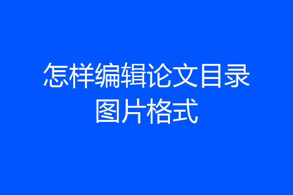 怎样编辑论文目录图片格式