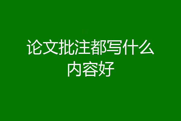论文批注都写什么内容好