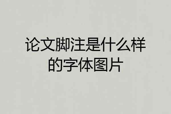 论文脚注是什么样的字体图片