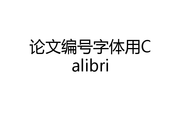 论文编号字体用Calibri