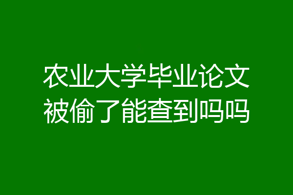 农业大学毕业论文被偷了能查到吗吗