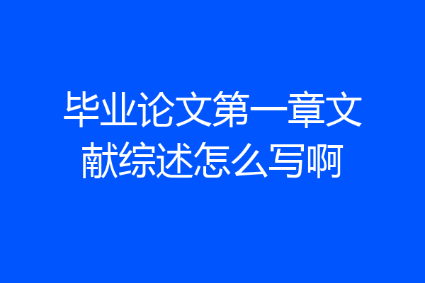 毕业论文第一章文献综述怎么写啊