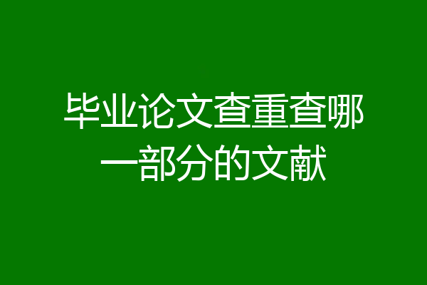 毕业论文查重查哪一部分的文献